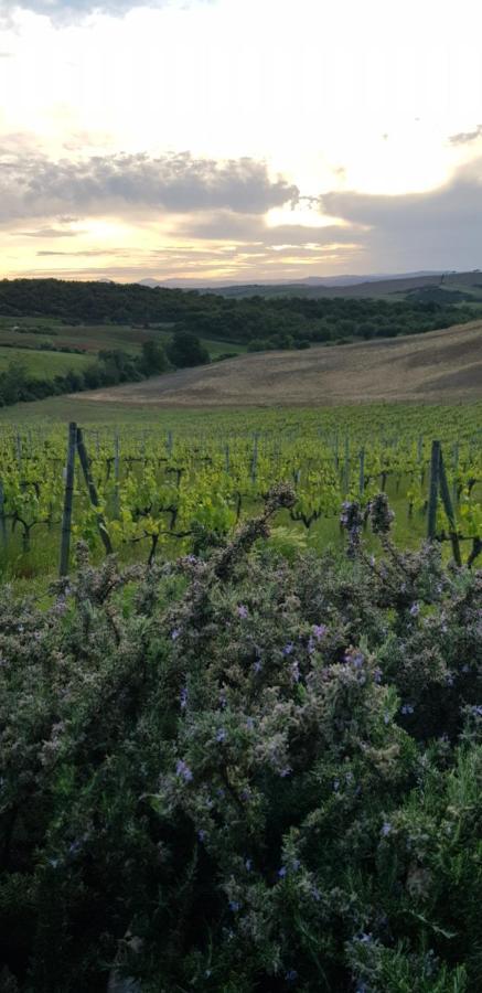 Agriturismo Bagnaia San Quirico dʼOrcia Exteriér fotografie