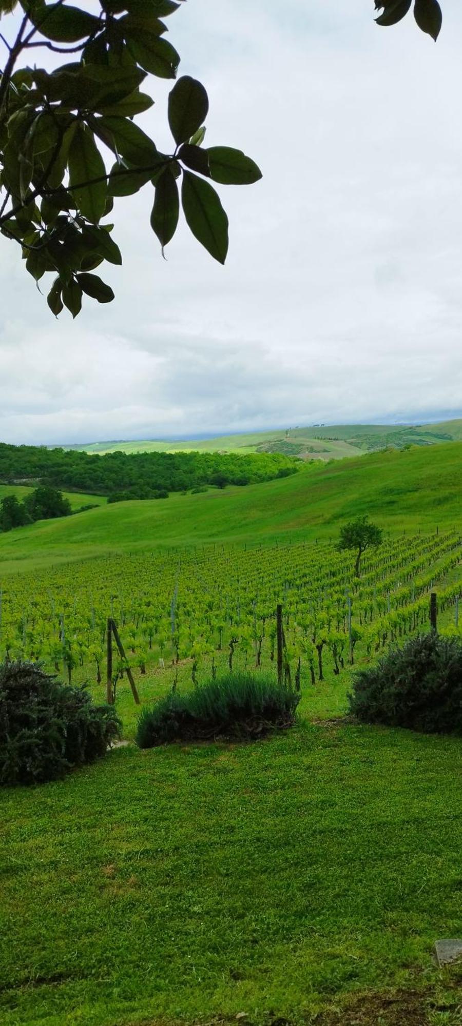 Agriturismo Bagnaia San Quirico dʼOrcia Exteriér fotografie