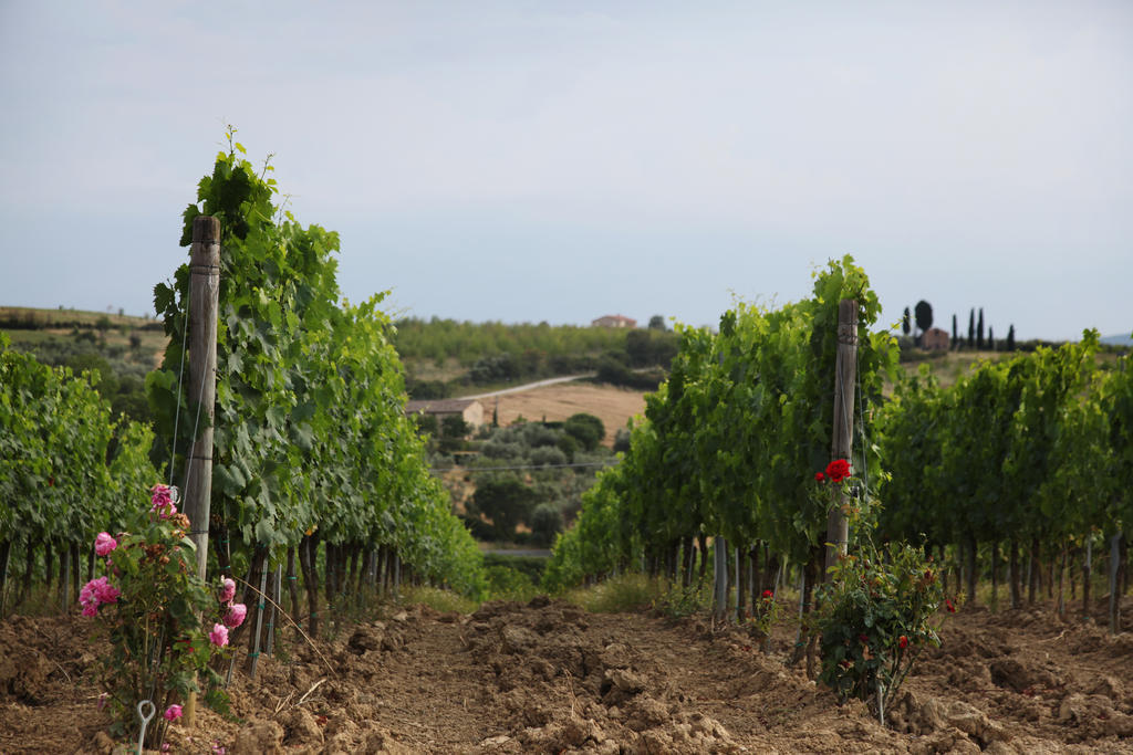 Agriturismo Bagnaia San Quirico dʼOrcia Exteriér fotografie