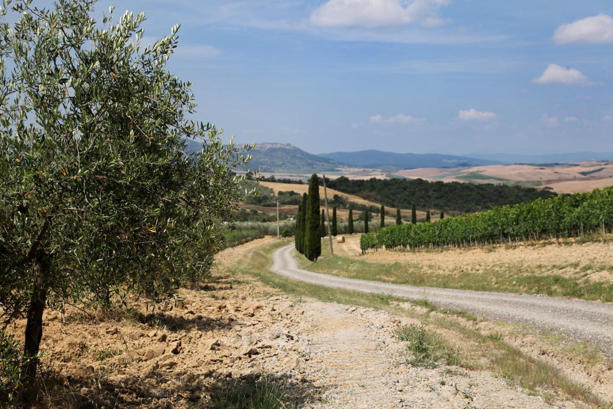 Agriturismo Bagnaia San Quirico dʼOrcia Exteriér fotografie