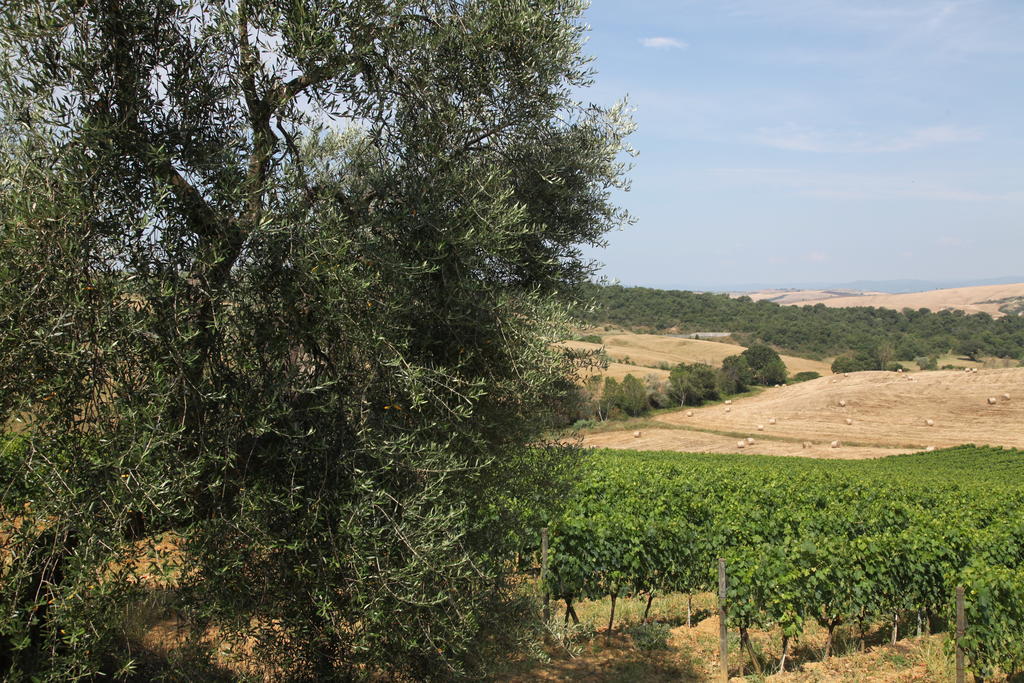 Agriturismo Bagnaia San Quirico dʼOrcia Exteriér fotografie