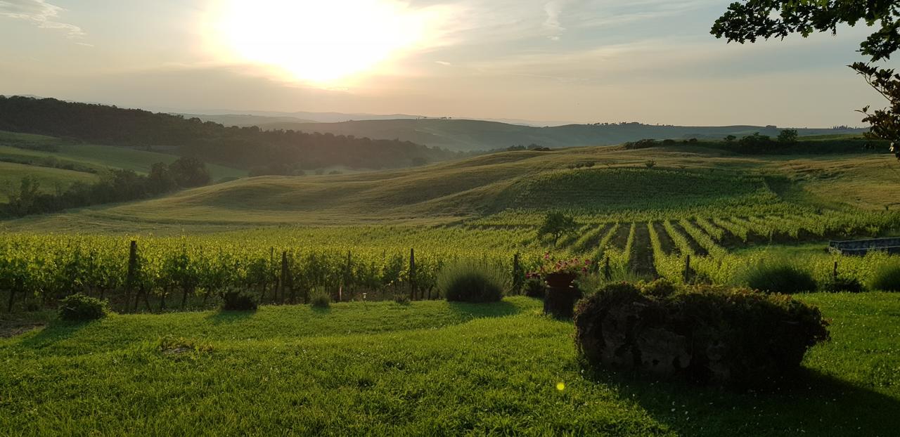 Agriturismo Bagnaia San Quirico dʼOrcia Exteriér fotografie